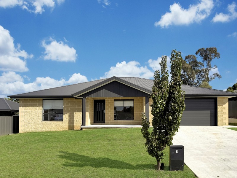 3 Nellee Place, Young NSW 2594