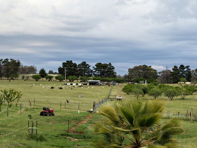 4484 Olympic Hwy South, Young NSW 2594