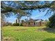 529 Olympic Hwy North, Young NSW 2594