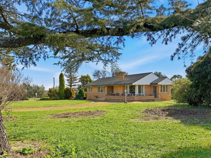 529 Olympic Hwy North, Young NSW 2594