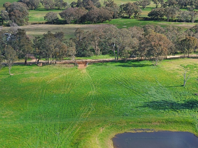 1743 Jerrybang Lane, Monteagle via, Young NSW 2594