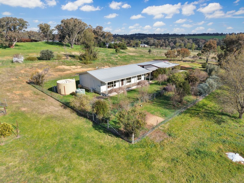 202 Pattersons Lane, Young NSW 2594