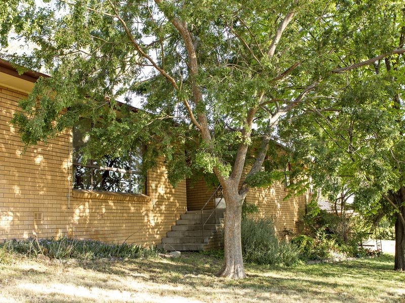 37 Whiteman Avenue, Young NSW 2594