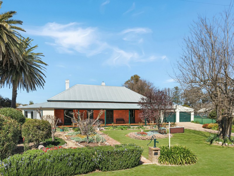 6 Patterson Avenue, Young NSW 2594