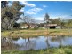 3 Pestells Lane, Young NSW 2594