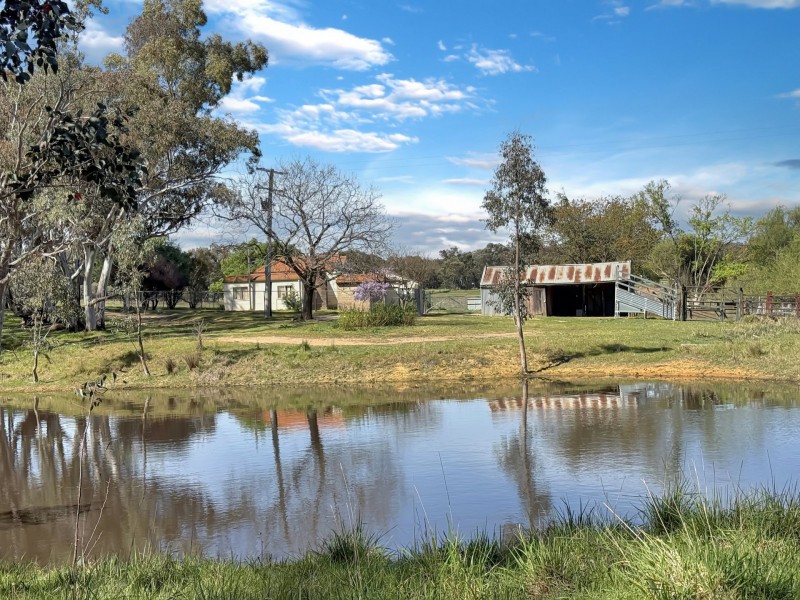 3 Pestells Lane, Young NSW 2594
