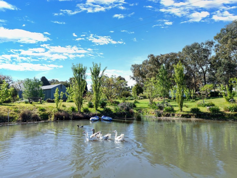 111 Forbes Lane, Young NSW 2594