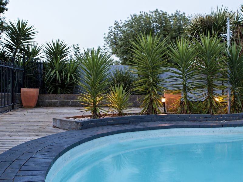 20 Back Creek Rd, Young NSW 2594