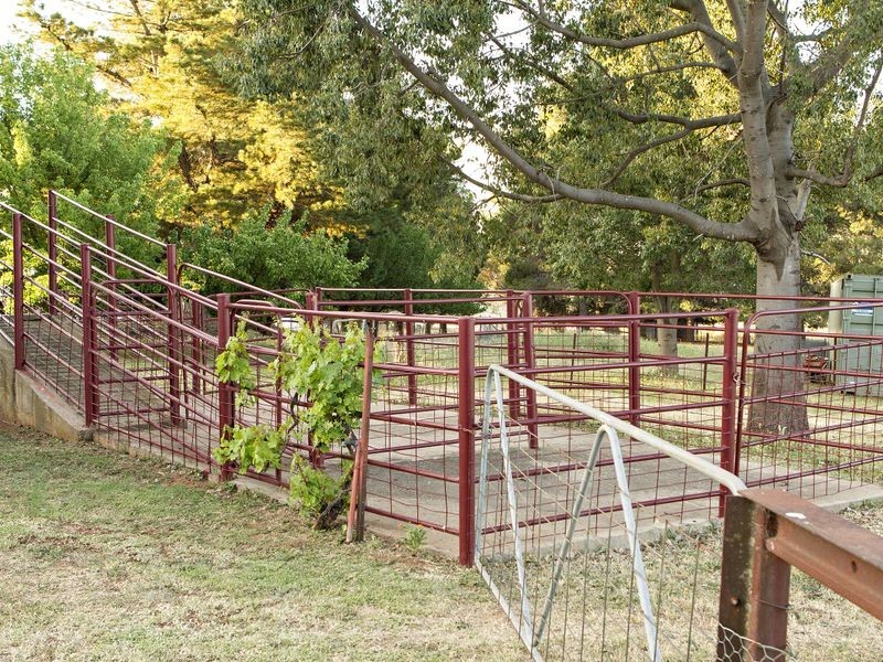 224 Henry Lawson Way, Young NSW 2594