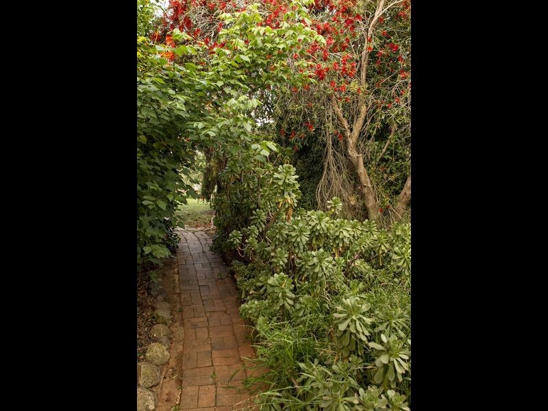 224 Henry Lawson Way, Young NSW 2594