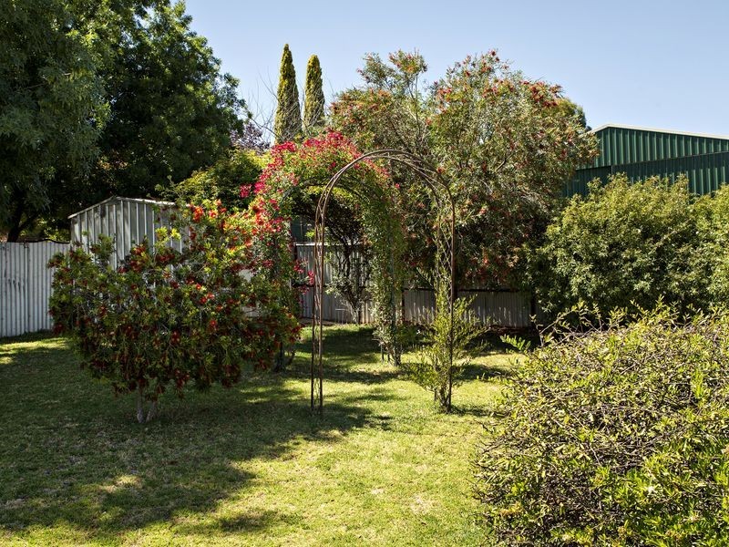 72 Templemore Street, Young NSW 2594