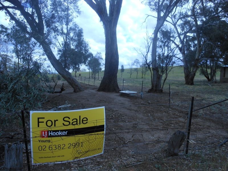 Lot 3 Kingsvale Road KINGSVALE, Young NSW 2594