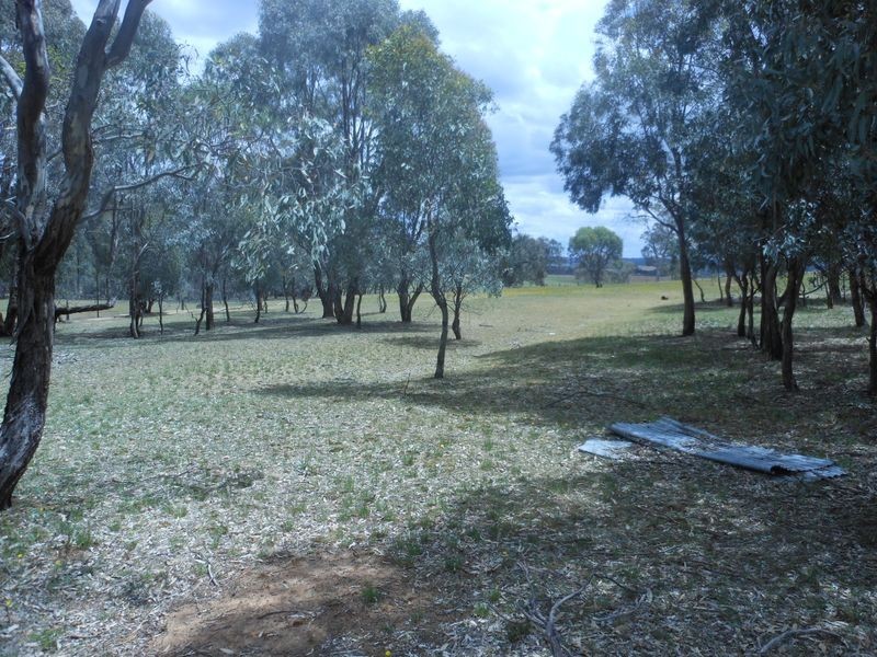Lot 3 Kingsvale Road KINGSVALE, Young NSW 2594