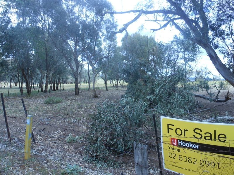 Lot 3 Kingsvale Road KINGSVALE, Young NSW 2594
