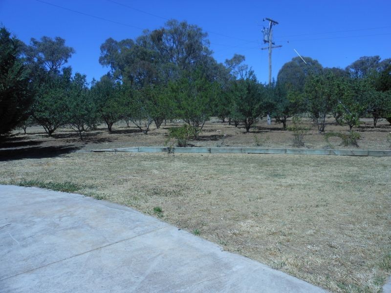 15 Burrangong Hall Road, Young NSW 2594