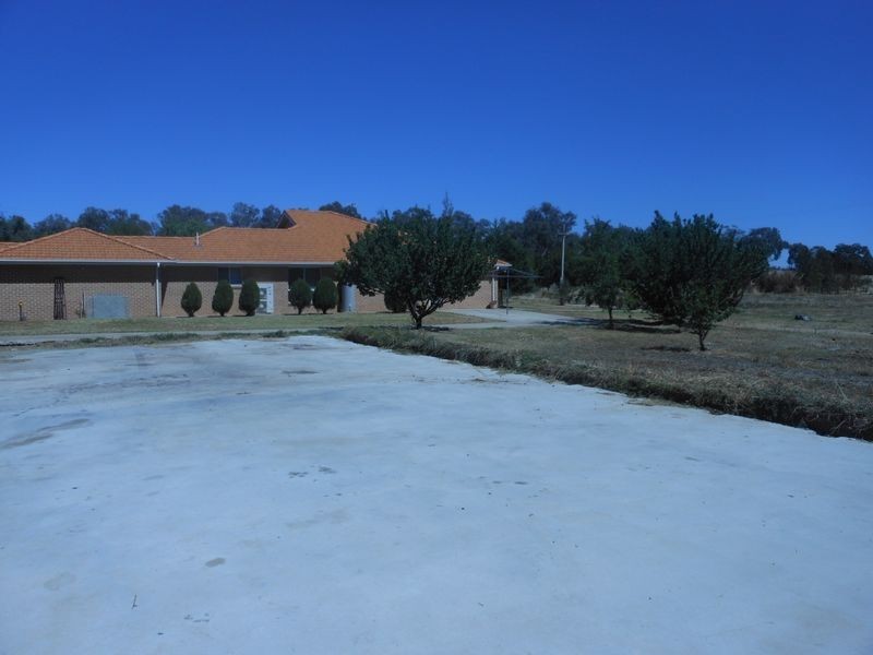 15 Burrangong Hall Road, Young NSW 2594