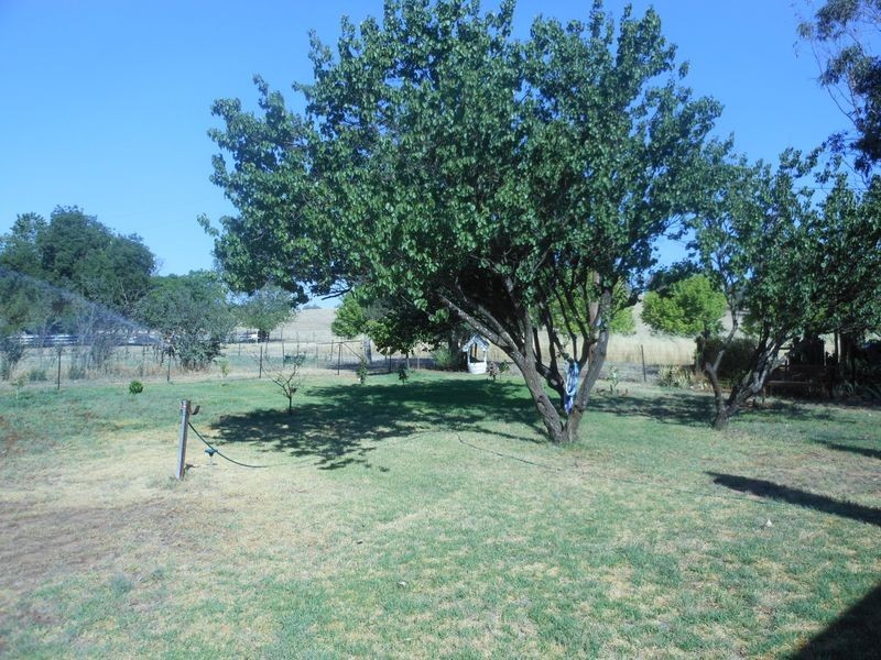 801 Murringo Flats Road Murringo, Young NSW 2594