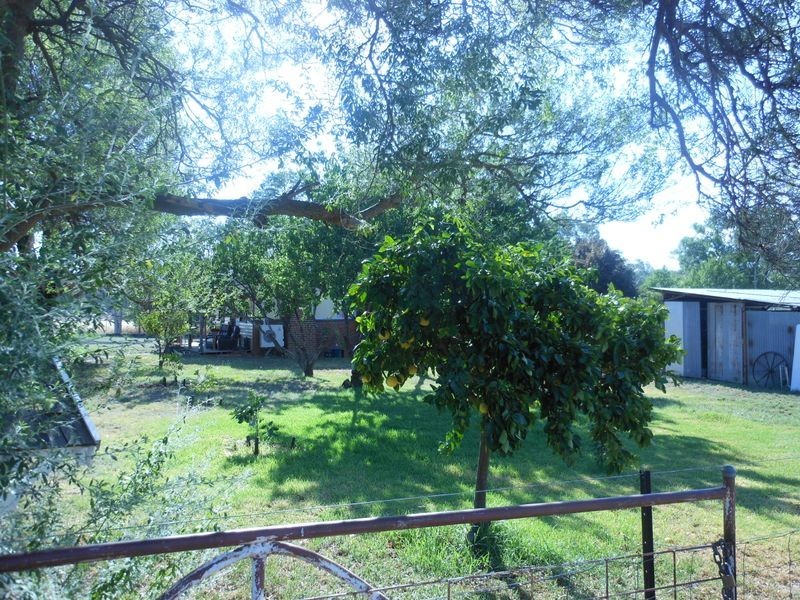 801 Murringo Flats Road Murringo, Young NSW 2594