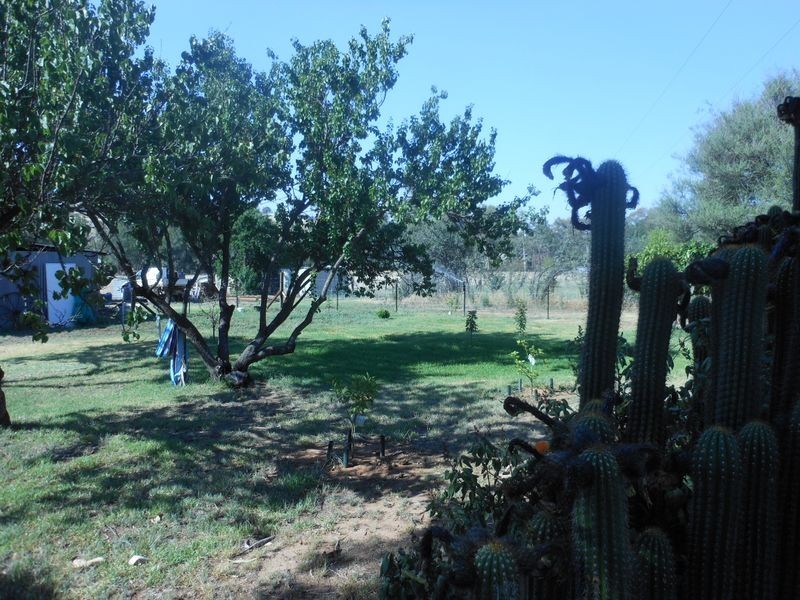 801 Murringo Flats Road Murringo, Young NSW 2594