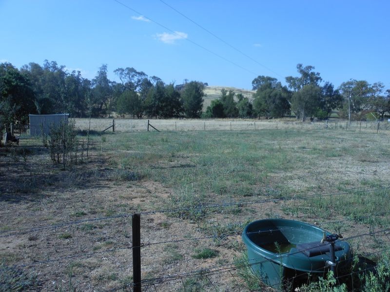 801 Murringo Flats Road Murringo, Young NSW 2594