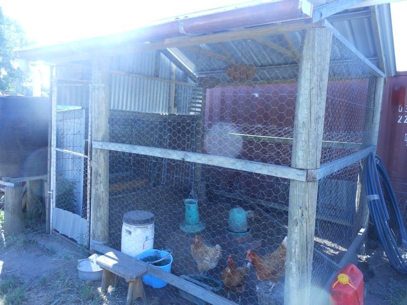 801 Murringo Flats Road Murringo, Young NSW 2594