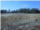 801 Murringo Flats Road Murringo, Young NSW 2594