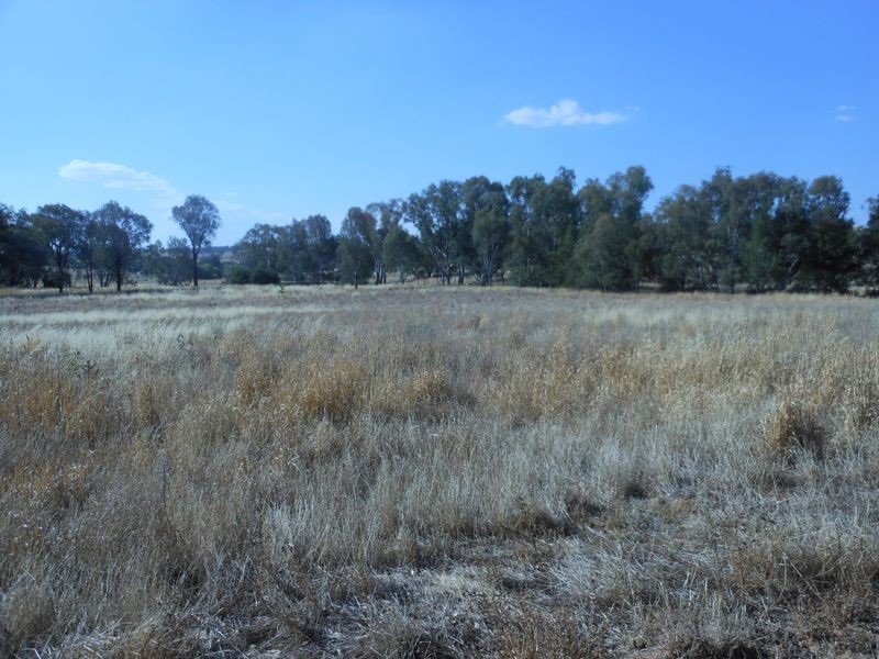 801 Murringo Flats Road Murringo, Young NSW 2594