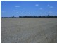 150 Barrs Lane, Young NSW 2594