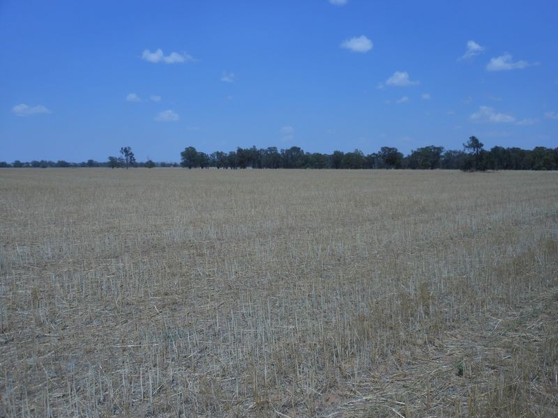 150 Barrs Lane, Young NSW 2594