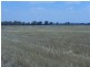 150 Barrs Lane, Young NSW 2594