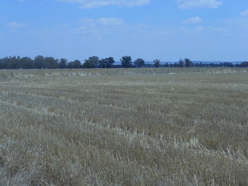 150 Barrs Lane, Young NSW 2594