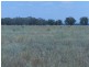 150 Barrs Lane, Young NSW 2594