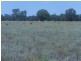 150 Barrs Lane, Young NSW 2594