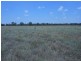 150 Barrs Lane, Young NSW 2594