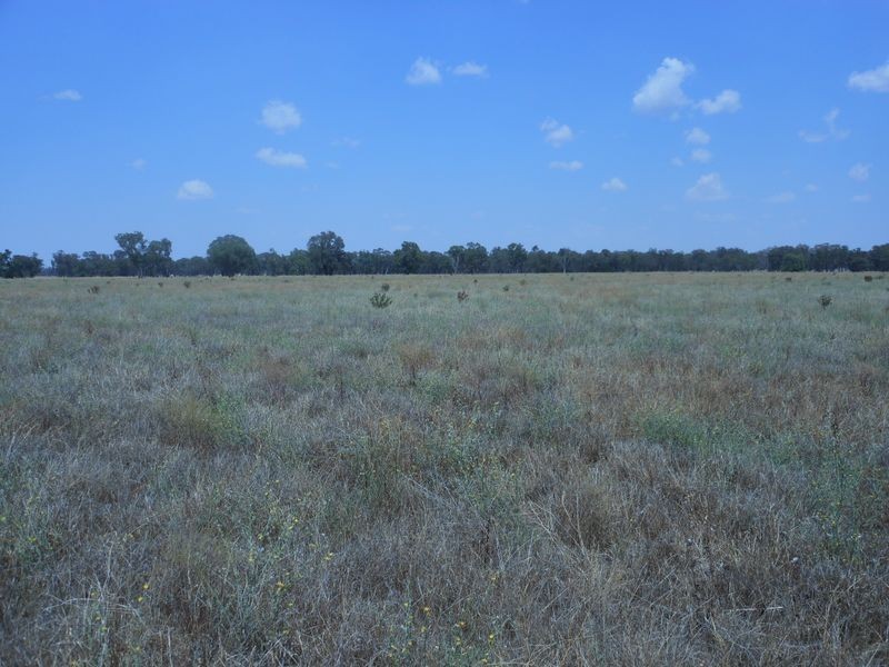 150 Barrs Lane, Young NSW 2594