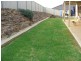 51 Petticoat Lane, Young NSW 2594