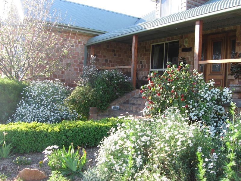 132 Belmore Road Young, Young NSW 2594