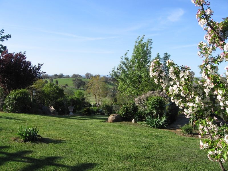 132 Belmore Road Young, Young NSW 2594