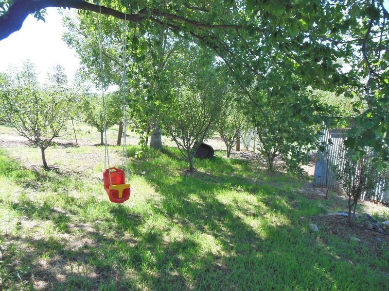 87 Victoria Street, Young NSW 2594