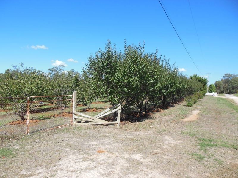87 Victoria Street, Young NSW 2594