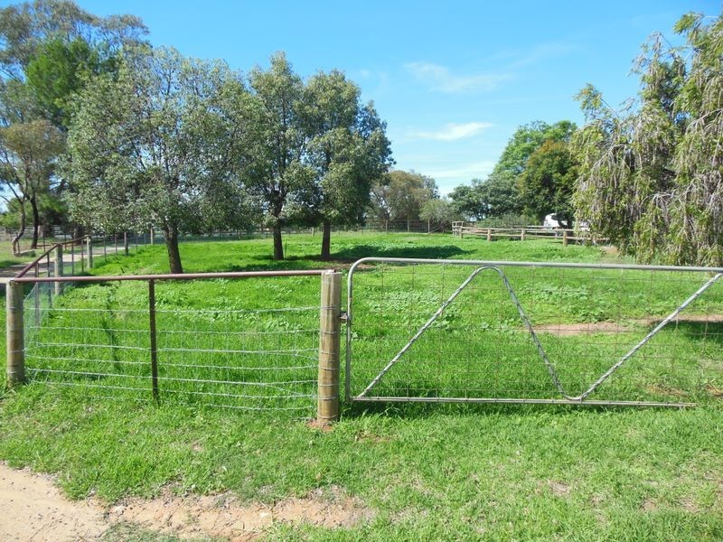 275 Henry Lawson Way, Young NSW 2594