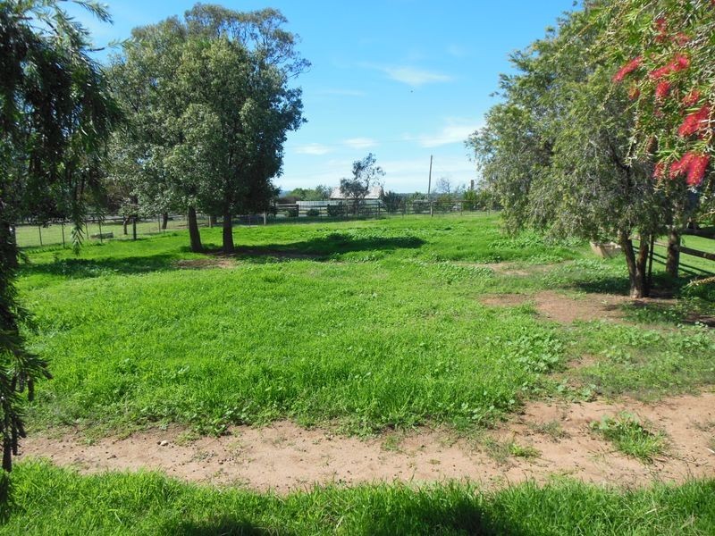 275 Henry Lawson Way, Young NSW 2594