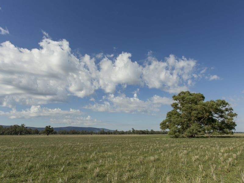 SPRINGVIEW Loch Lomond Road, Gooloogong NSW 2805