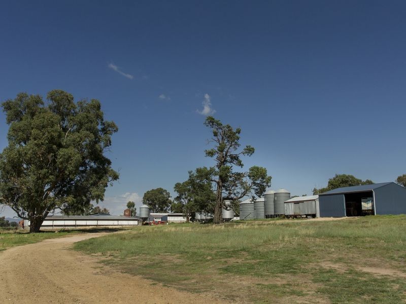 SPRINGVIEW Loch Lomond Road, Gooloogong NSW 2805