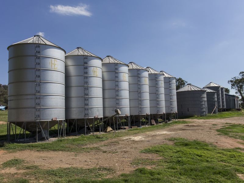 SPRINGVIEW Loch Lomond Road, Gooloogong NSW 2805