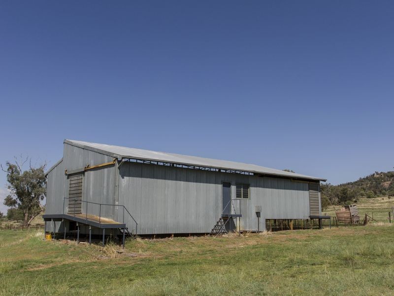 SPRINGVIEW Loch Lomond Road, Gooloogong NSW 2805