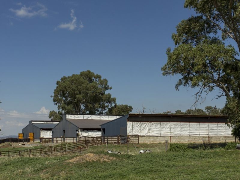 SPRINGVIEW Loch Lomond Road, Gooloogong NSW 2805