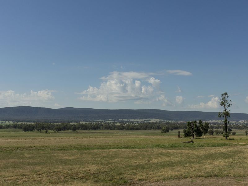 SPRINGVIEW Loch Lomond Road, Gooloogong NSW 2805