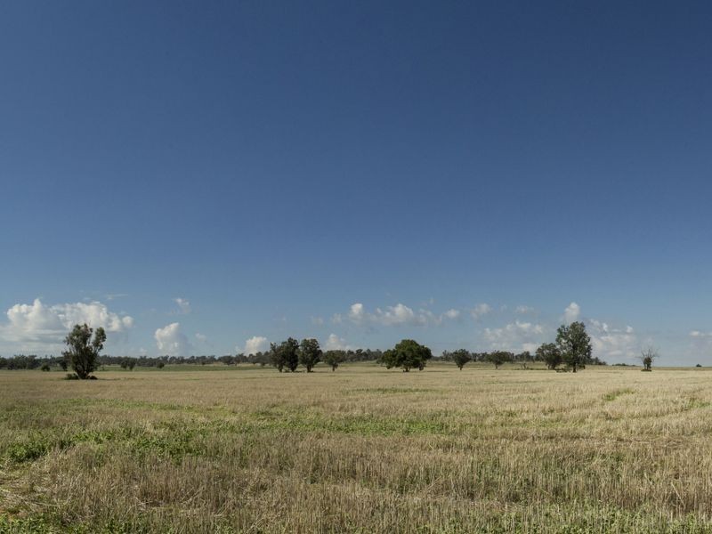 SPRINGVIEW Loch Lomond Road, Gooloogong NSW 2805