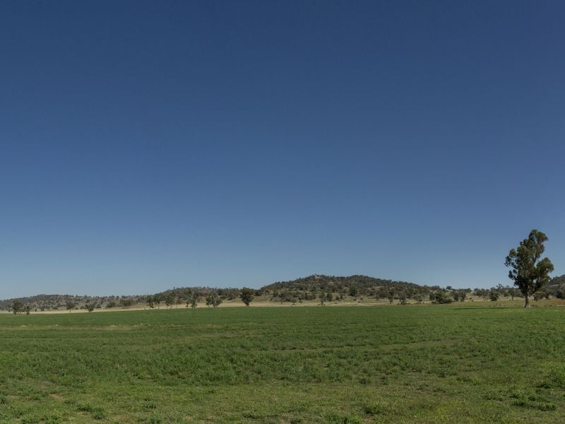 SPRINGVIEW Loch Lomond Road, Gooloogong NSW 2805